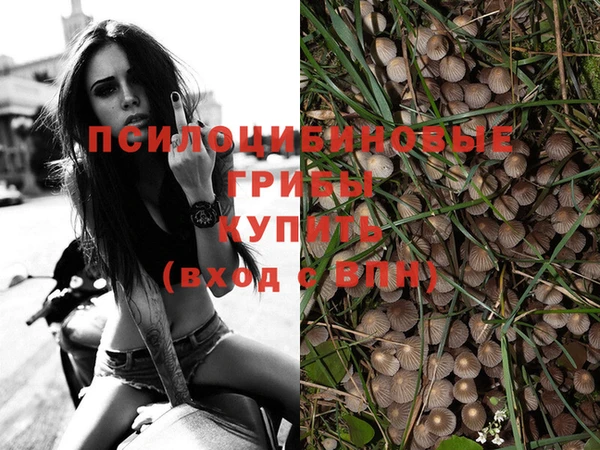 марки lsd Магас
