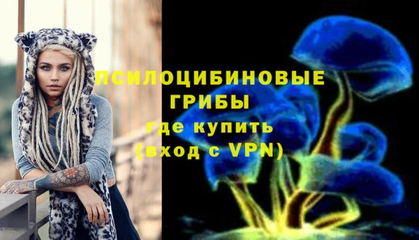 спайс Медногорск