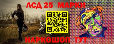 шишки Аргун