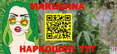 шишки Аргун