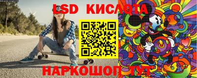 шишки Аргун