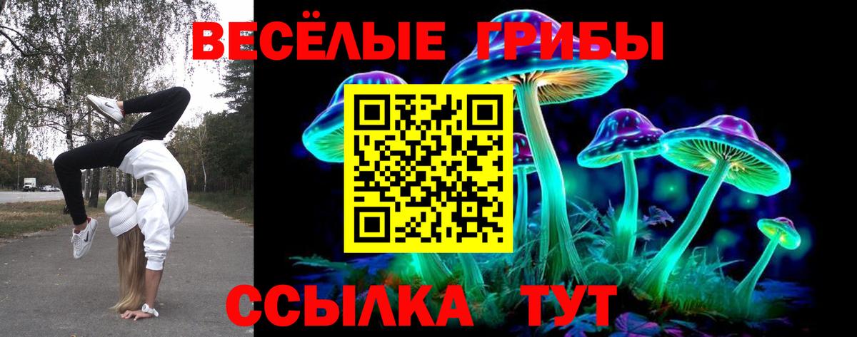 закладки  Вход с VPN  Псилоцибиновые грибы Psilocybe  Белгород  Псилоцибиновые грибы прущие грибы 