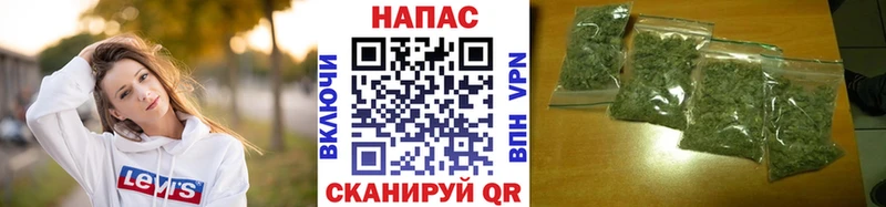 Конопля гибрид  Белгород 